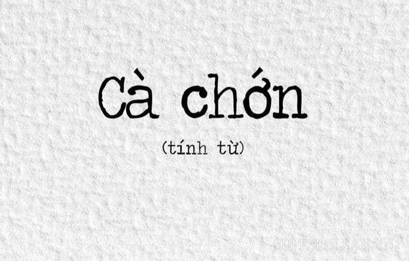 Ý nghĩa từ cà chớn là gì?