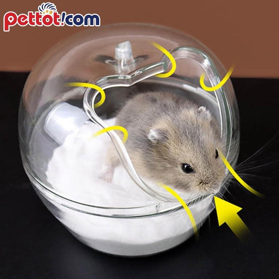 Hướng dẫn: Cách chữa trị khi chuột hamster bị Tiêu Chảy !!