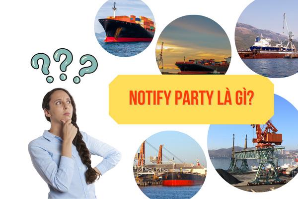 Notify party là gì? Bật mí mối quan hệ giữa Notify party và Consignee