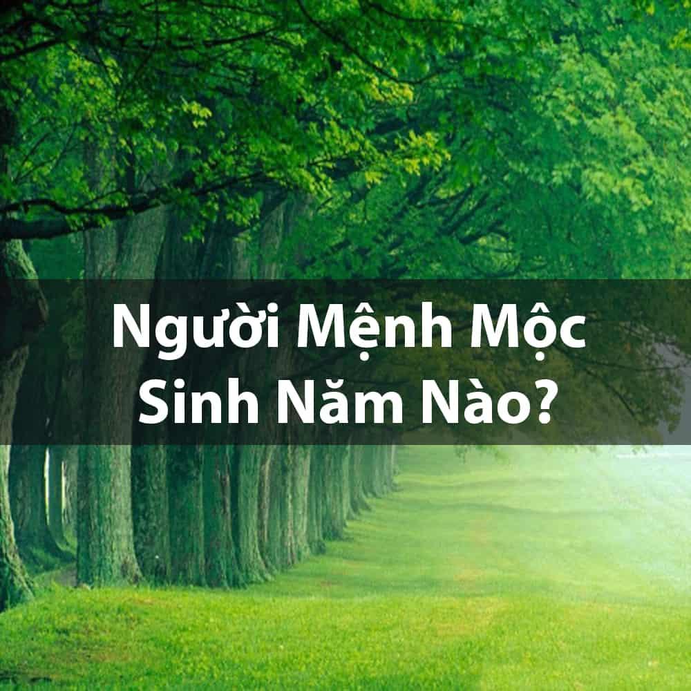 Mệnh dương liễu mộc là gì? Sinh năm bao nhiêu? Hợp màu gì?