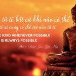 Những câu nói hay của Phật giúp bạn an yên và thêm yêu cuộc sống