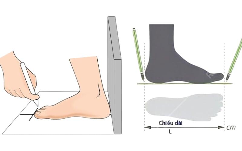 Các bước thực hiện đo size giày Adidas