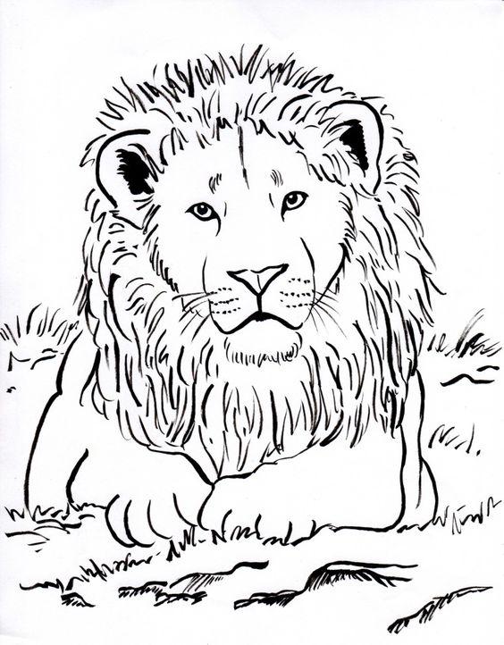 hình tô màu sư tử